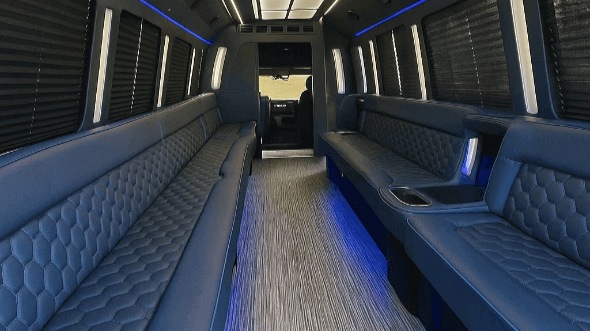Interior of Clarksville Party Bus Company's 30 Passenger Party Bus in Clarksville