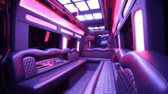 clarksville 18 passenger party bus interior