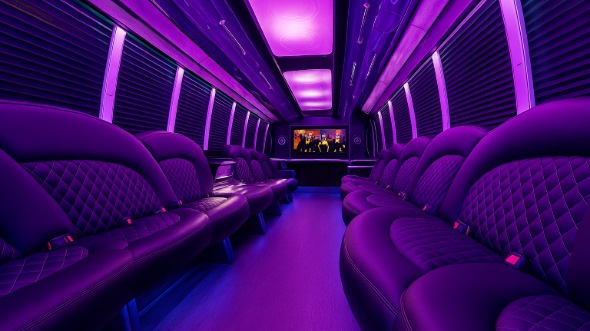 nashville 20 passenger party bus